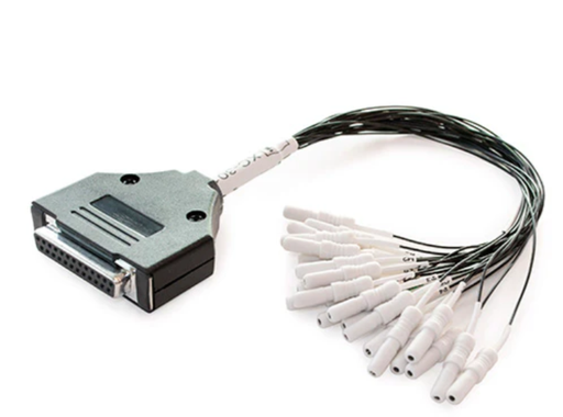 [C110-XC-301] Adaptador Toucas WG DB25|21PIN TP